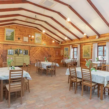 Gospoda Pazibroda 3*