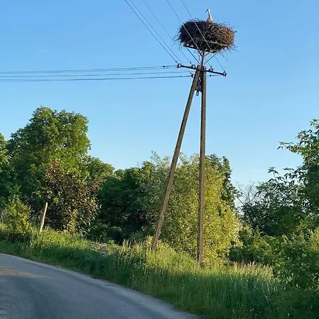 Fogadó Pazibroda 3*