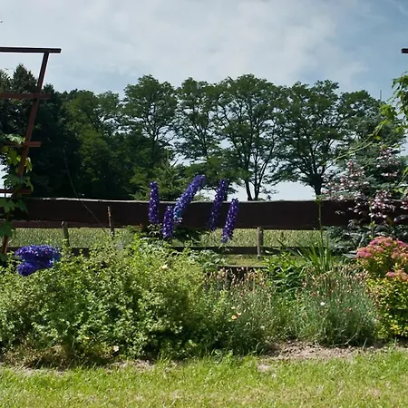 Fogadó Pazibroda 3*