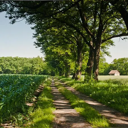 Gasthof Gospoda Pazibroda Maków Mazowiecki