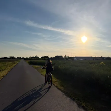 Pazibroda Maków Mazowiecki
